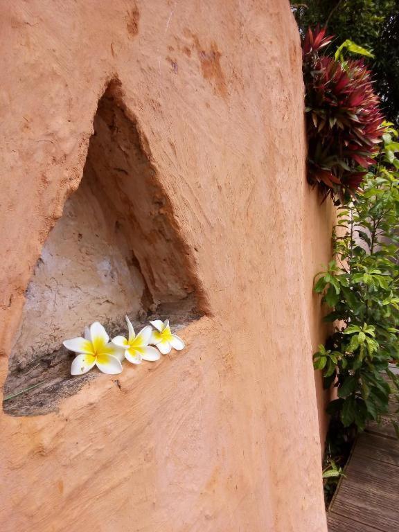 Les Bungalows De La Kazouale Saint-Leu Dış mekan fotoğraf